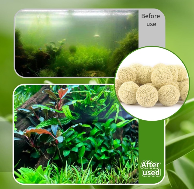 كرات الفلتر البيولوجية 300g