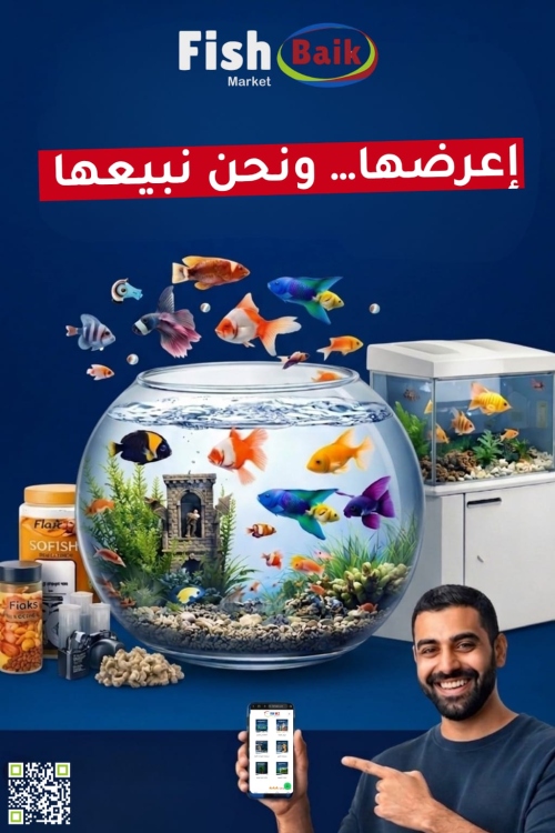وصف الخدمة