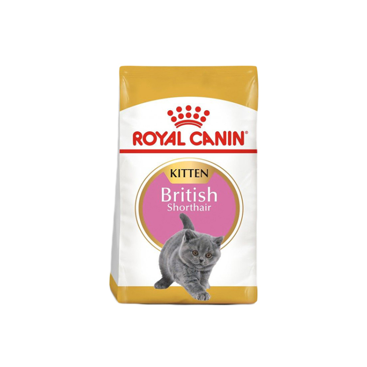 طعام رويال كانين لقطط البريتيش شورت هير الصغيرة