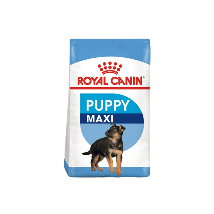 رويال كانين طعام جاف للكلاب الجراء من السلالات الكبيرة