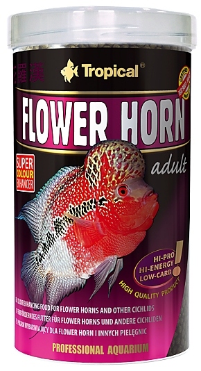 FLOWER HORN 