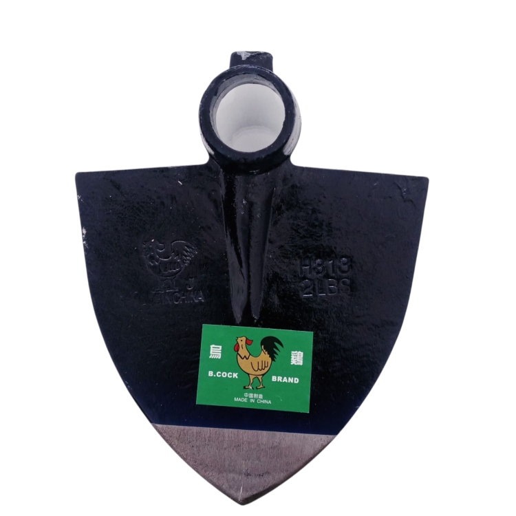 طوريه مجرفه