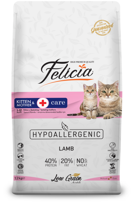 Felicia Kitten & Mother Care Lamb