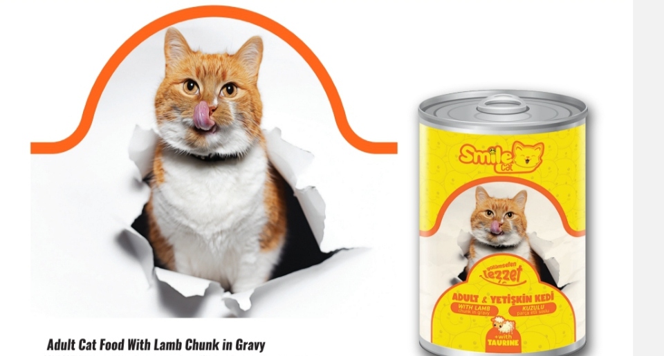 Smile wet cat400g lamb العدد 24 علبه