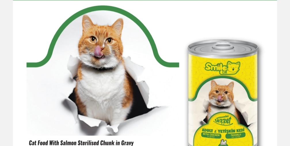 Smile wet cat400g salmon  العدد بالكرتونه 24 علبه