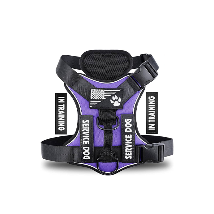 طوق تدريب للكلاب – بتصميم مريح مع شارات قابلة للتبديل