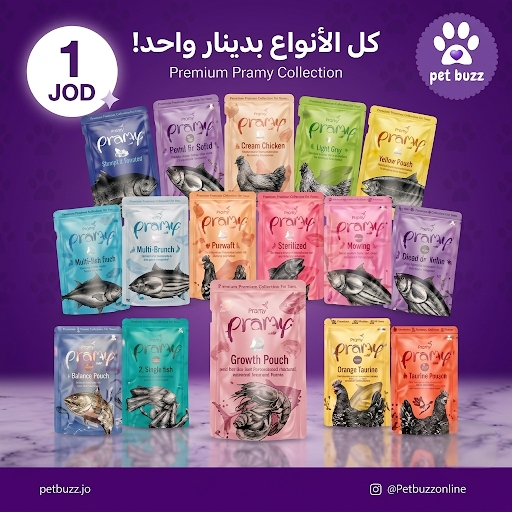 Pramy premium cat wet food 70gm | Cat wet food | Deal of day