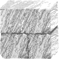 ريش جرانيت فرنسي