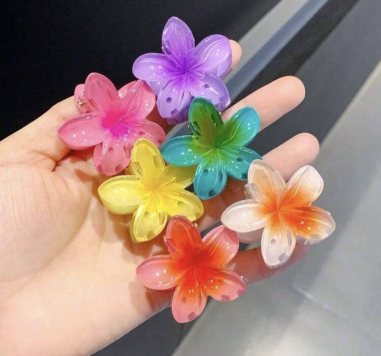 2pcs Small Flower Hair Clips 