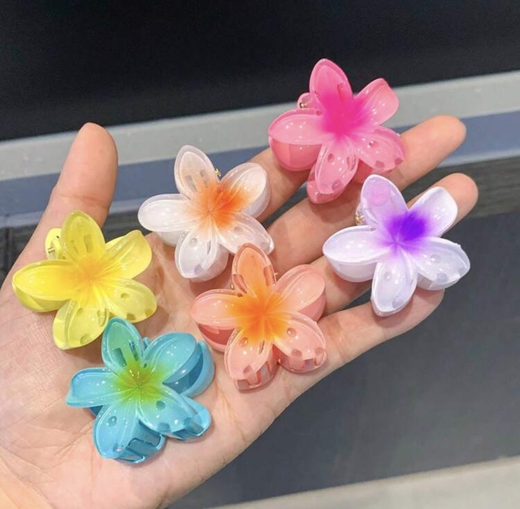 2pcs Small Flower Hair Clips 