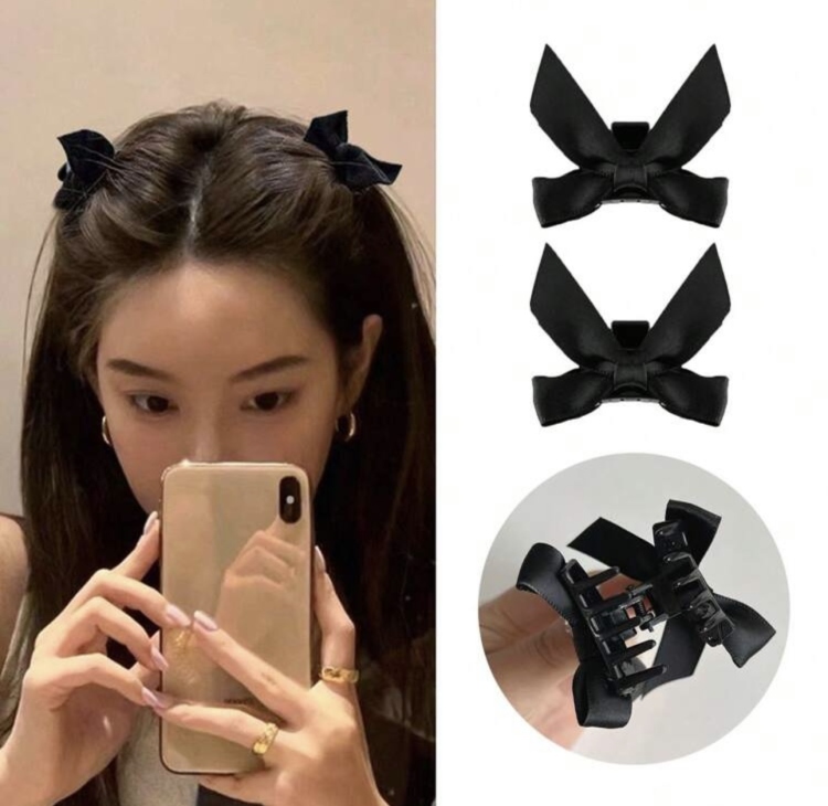 2pcs Black Hair Clip 