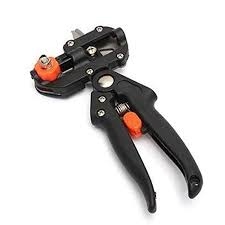 مقص تطعيم شجر في شنته