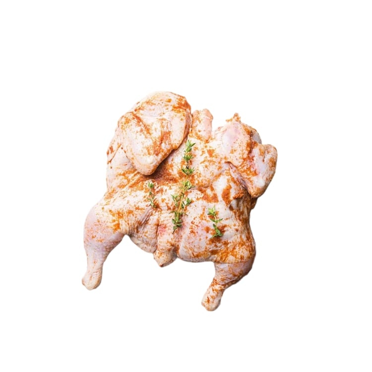خدمه تتبيل الدجاج