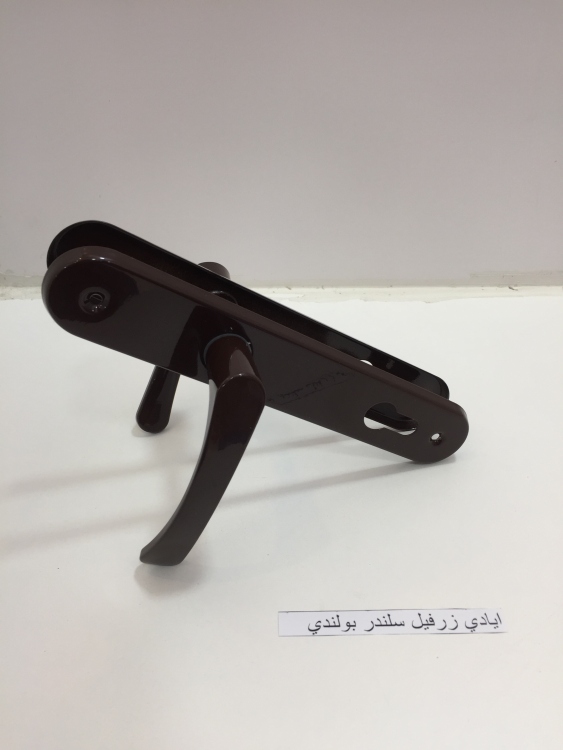 ايادي زرفيل بولندي