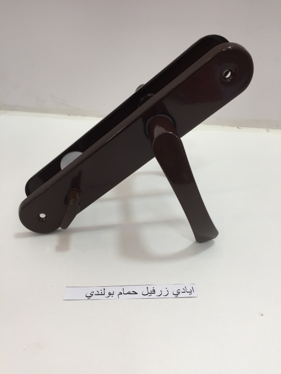 ايادي زرفيل بولندي