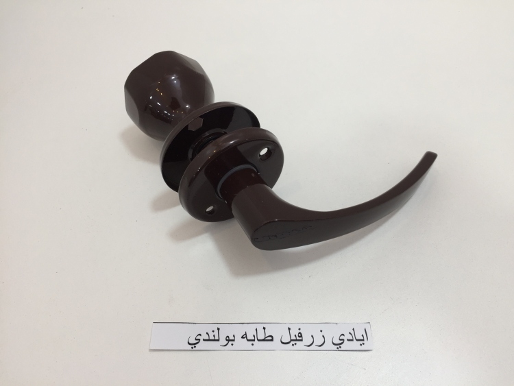 ايادي زرفيل بولندي