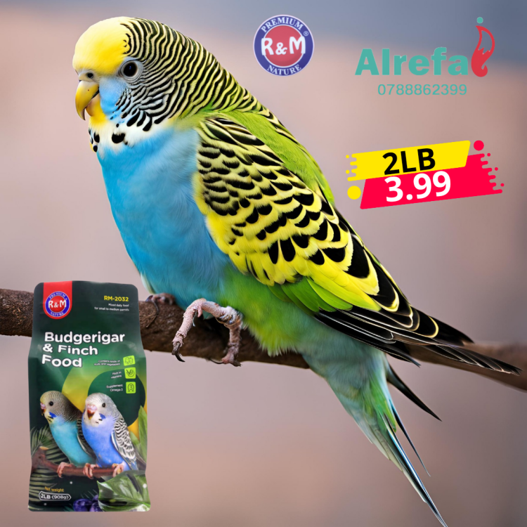 طعام لطيور الحب خلطة 