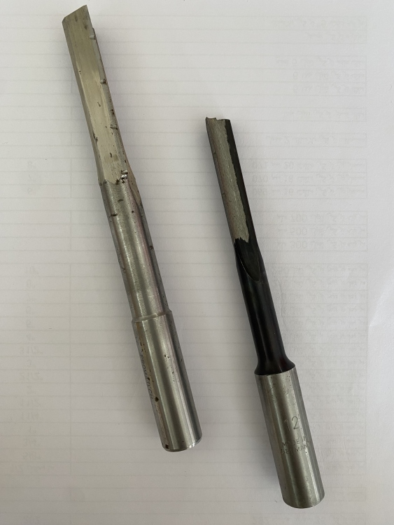 ريش منقار الماني