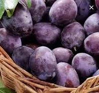 خوخ بلحي 