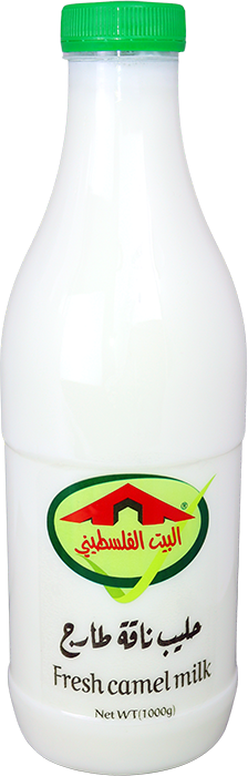 حليب ناقة طازج طبيعي