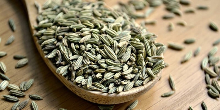 شومر حب 