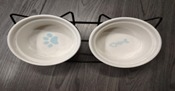 Glass Pet Bowl