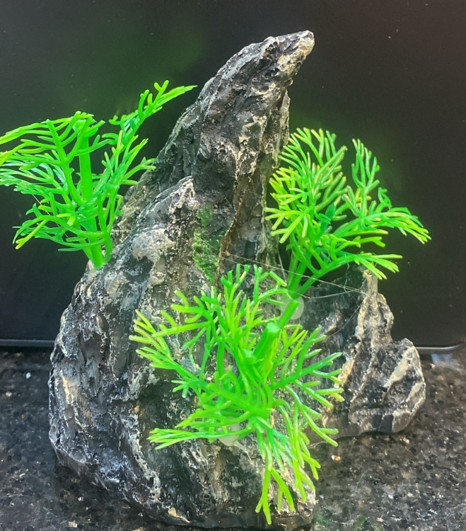 Resin ornaments