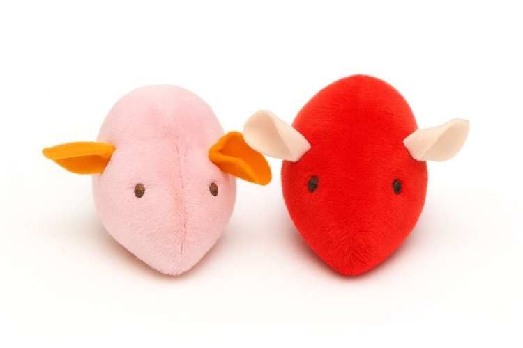 Plush mouse cat toy