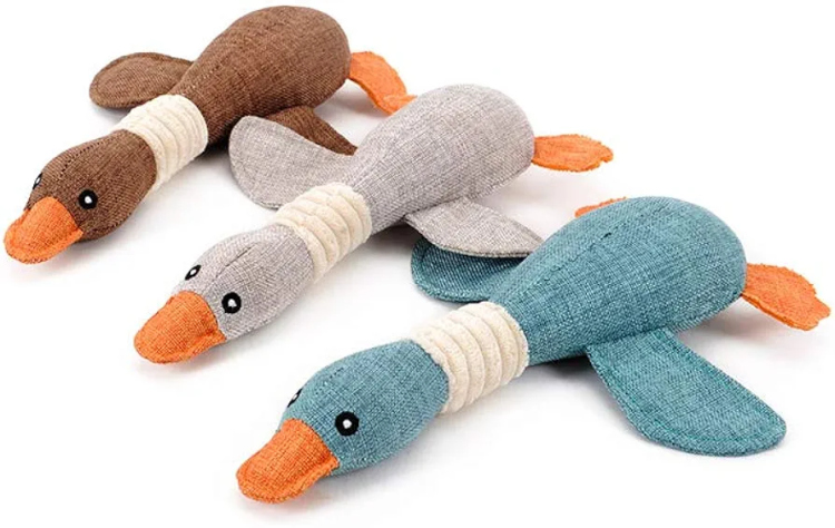 عضاضة بطة تزمر