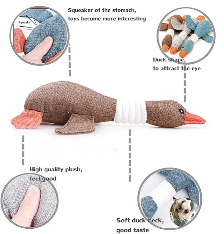 عضاضة بطة تزمر