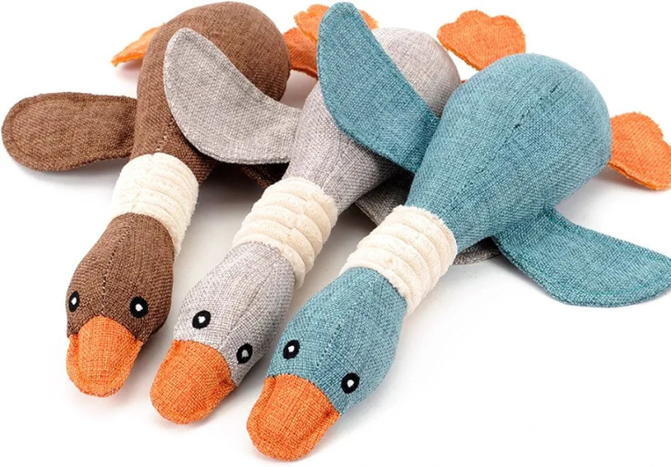 عضاضة بطة تزمر