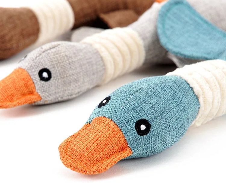 عضاضة بطة تزمر