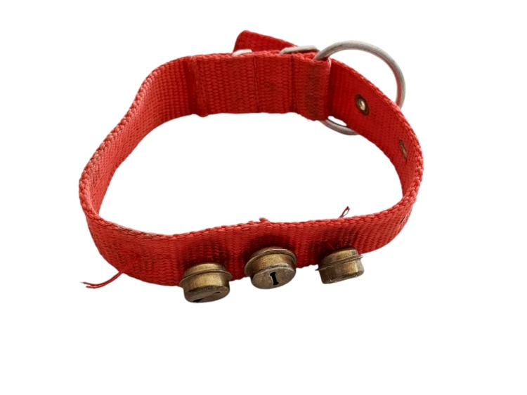 قشاط مع جرس للقطط والكلاب