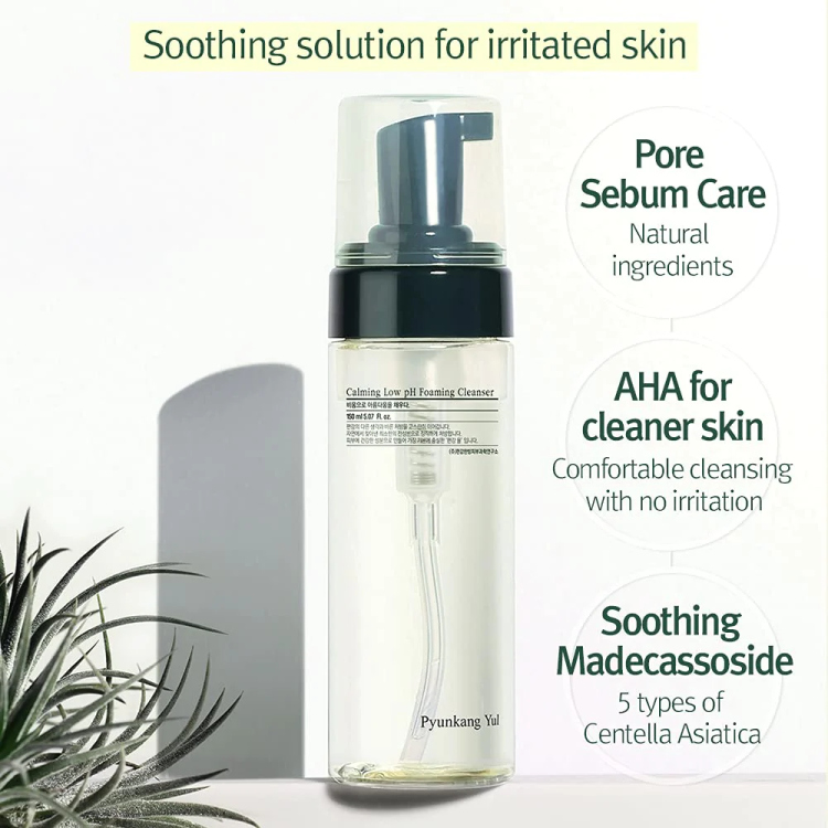 Pyunkang Yul, Calming Low pH Foaming Cleanser, 5.07 fl oz (150 ml)