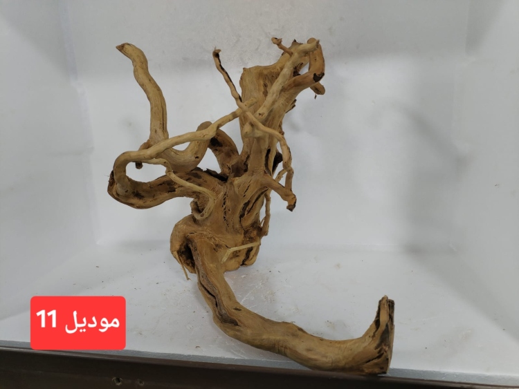 سكيبات طبيعية