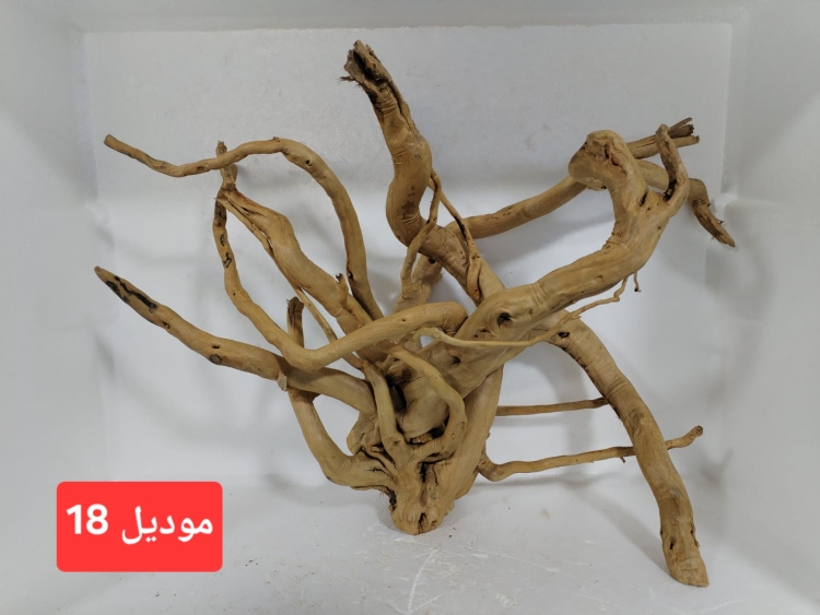 سكيبات طبيعية