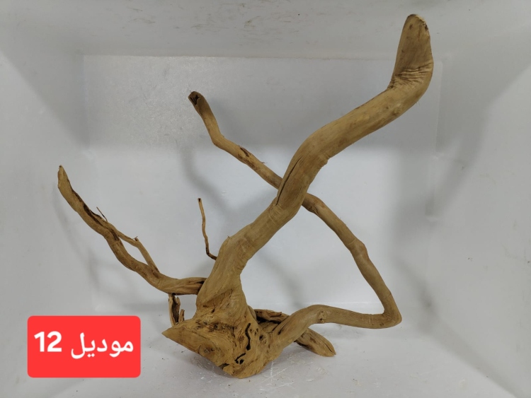 سكيبات طبيعية