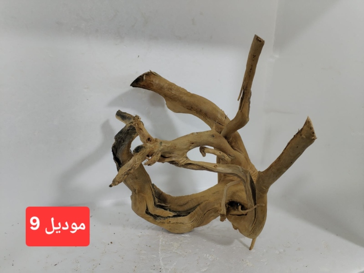سكيبات طبيعية