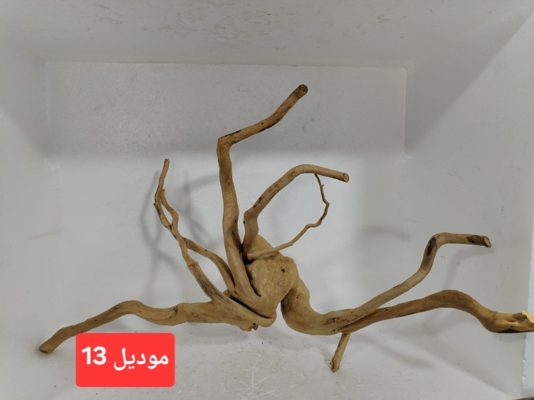 سكيبات طبيعية
