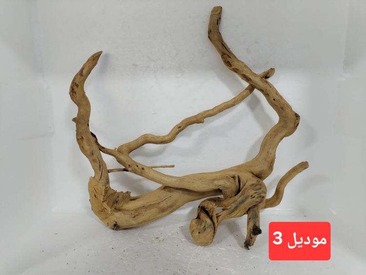 سكيبات طبيعية