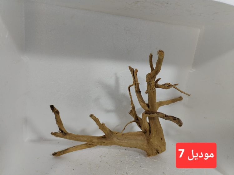 سكيبات طبيعية