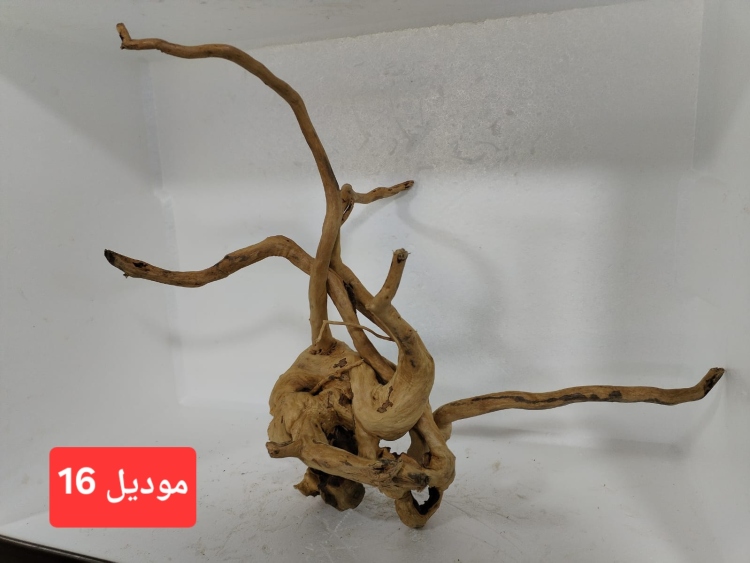 سكيبات طبيعية