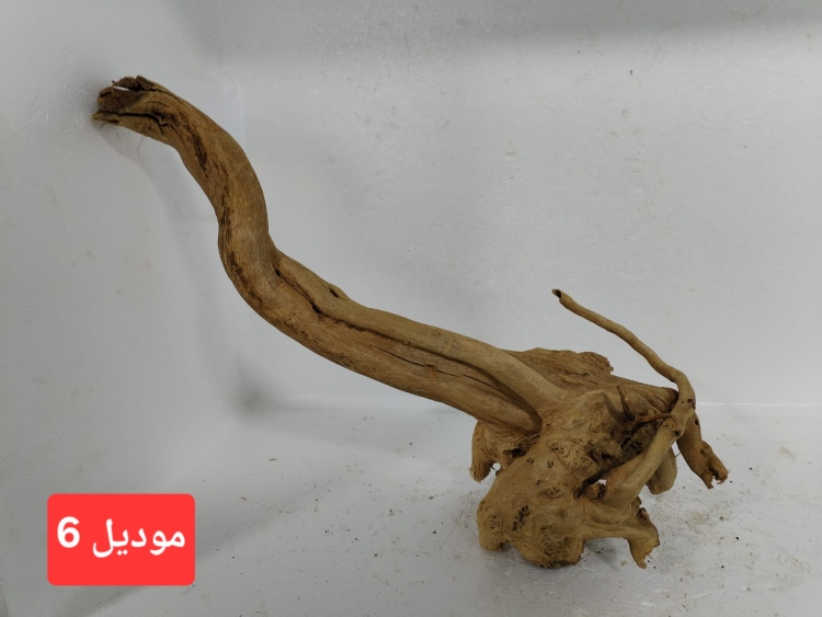 سكيبات طبيعية