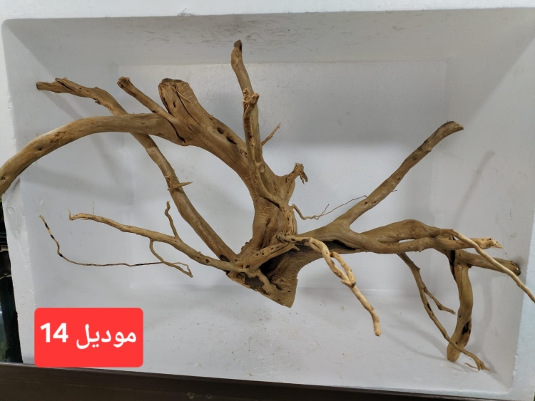 سكيبات طبيعية