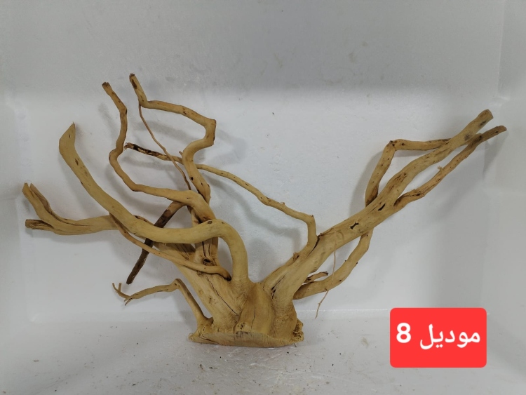سكيبات طبيعية