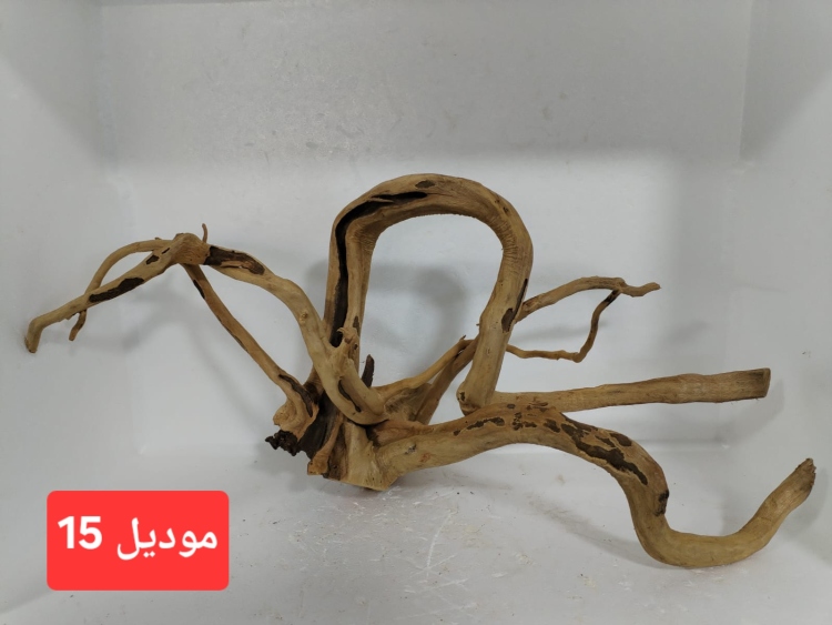 سكيبات طبيعية