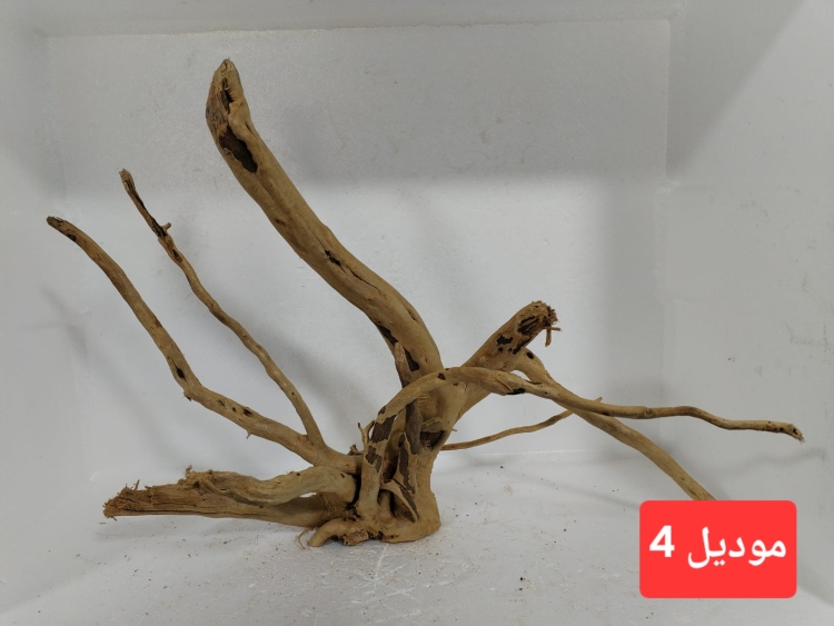 سكيبات طبيعية