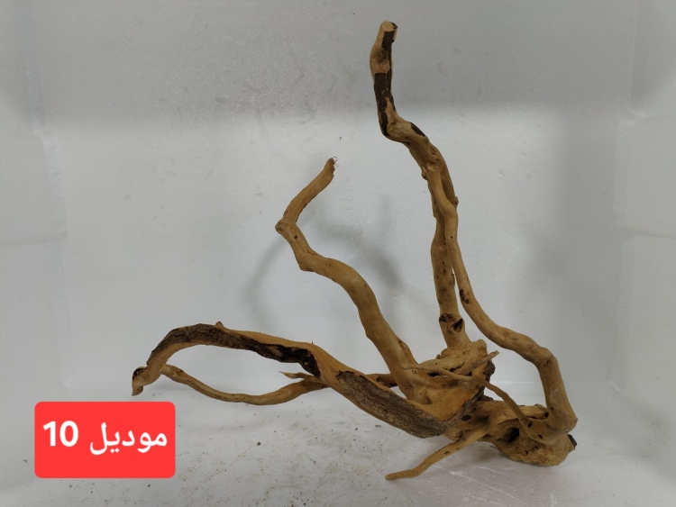 سكيبات طبيعية