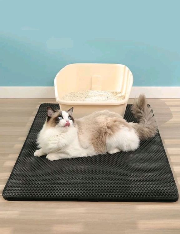 دعاسة شبك 45x60x1cm