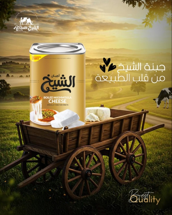 جبنة الشيخ المشمولة 11 كيلو